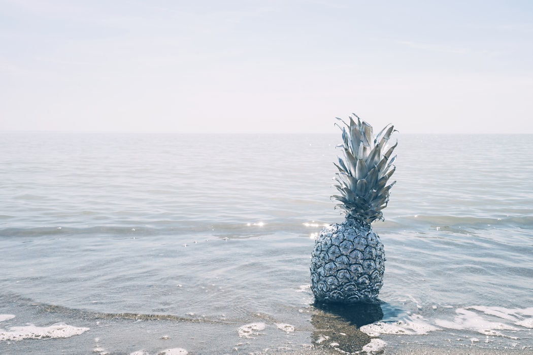 weird pineapple at sea