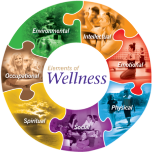 wellness dimensions